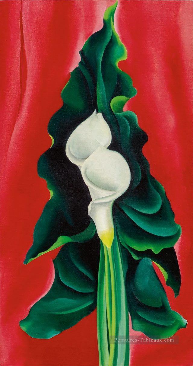 Lys Calla sur Red Georgia Okeeffe modernisme américain Precisionism Peintures à l'huile